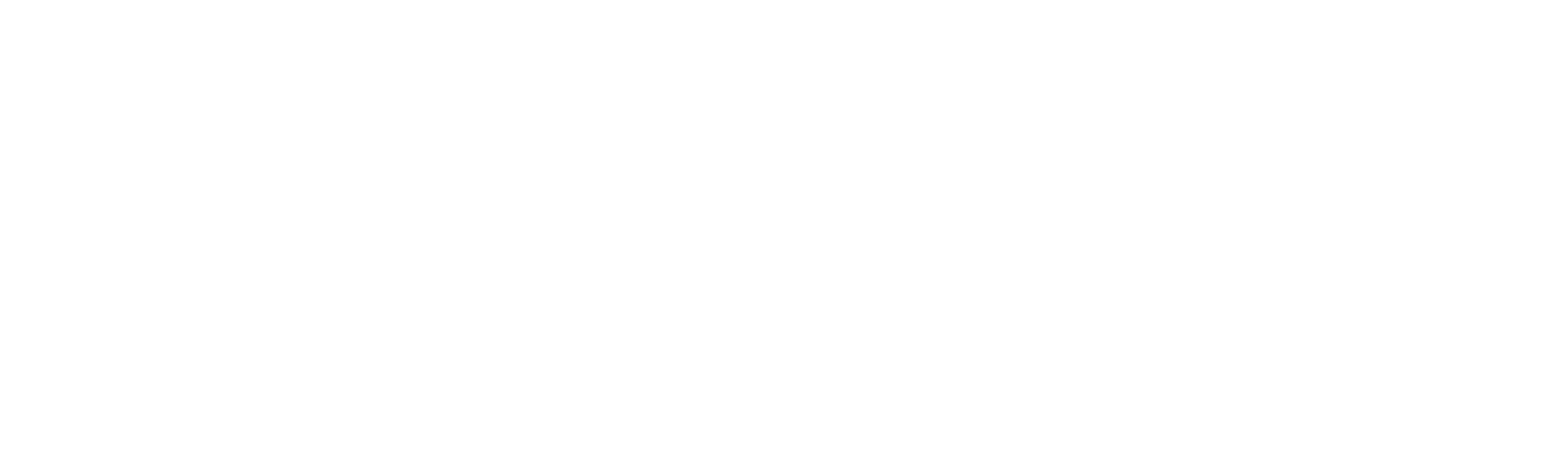 Maximum Dijital